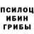 Галлюциногенные грибы Magic Shrooms Azer Naqiyev